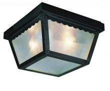 Trans Globe 4901 BK - 1LT SQ. CEILING FIXTURE